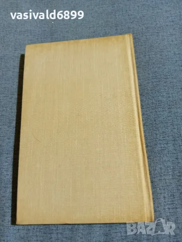 Димитър Мантов - Лудите глави , снимка 4 - Българска литература - 55401899