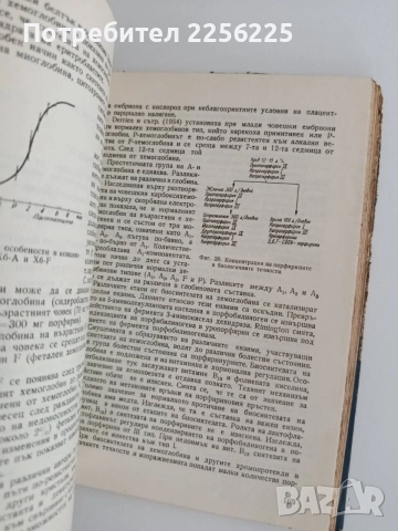 Обмяна на веществата в детската възраст, снимка 3 - Специализирана литература - 55124930