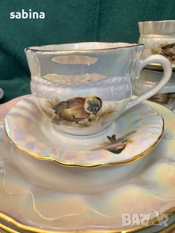 Руски порцелан-нов рядък сервиз Птици, Коростен, СССР, снимка 7 - Сервизи - 54089690