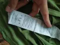 armani jeans - страхотна мъжка тениска XL, снимка 7