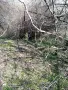 Парцел със стара къща с. Оряхово, община Любимец, снимка 3