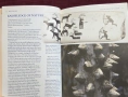 Световен атлас на коренните жители / The Gaia Atlas of First Peoples A Future for the Indigenous Wor, снимка 9