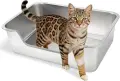 Нова Метална котешка тоалетна от неръждаема стомана нисък вход 50x35x15 см, снимка 1