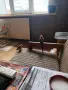 Пойни папагали мъжки , снимка 12