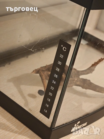 Аквариум 25л diversa, снимка 8 - Аквариуми - 53978307