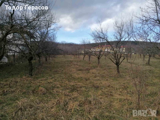 Парцел в регулацията на с.Гумощник, снимка 2 - Парцели - 55001026
