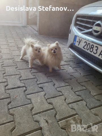 Момче и момиче