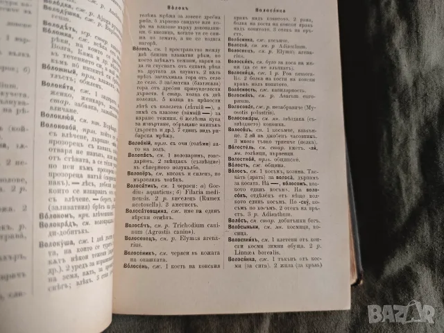 Пълен руско-български речник - Петко Гъбюв, 1900, снимка 2 - Чуждоезиково обучение, речници - 55645335