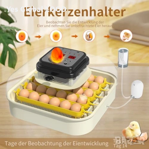 Инкубатор за 30 яйца Chalixion автоматичен, снимка 5 - Други стоки за животни - 54223333