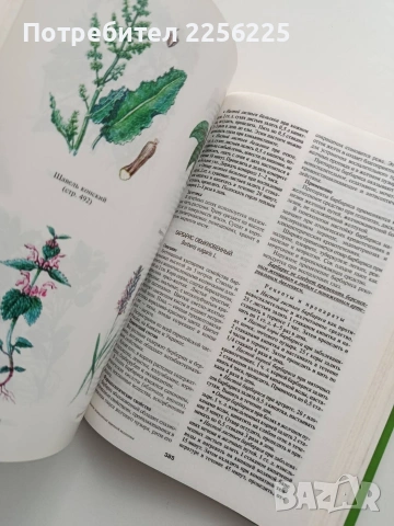 Золотая енциклопедия народной медицинь , снимка 4 - Специализирана литература - 54145267
