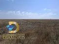 Парцел на главен път Димитровград-Хасково, снимка 1