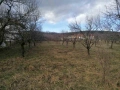 Парцел в регулацията на с.Гумощник, снимка 2