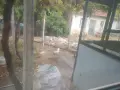 продавам 4  бели сиамски котенца, снимка 4