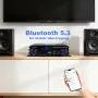 Мини HiFi усилвател 2.1 Bluetooth 5.3, 1000W пикова, снимка 6