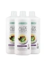 Aloe Vera Гел за пиене Açaí Pro Summer, троен комплект , снимка 1