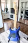 Fernandes FR-40, 2003, Japan, снимка 6