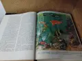 Енциклопедия на половин век 1407 страници, снимка 10