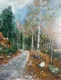 Сняг през есента на Витоша, снимка 2