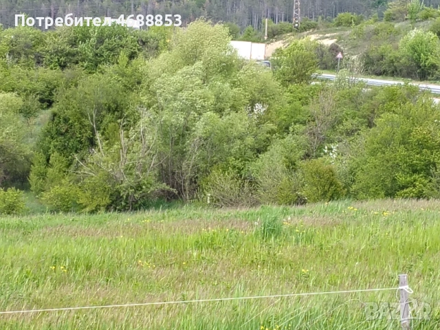 Земеделска земя гр. Дебелец, снимка 15 - Парцели - 54292349