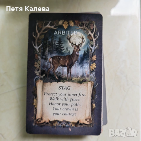 Animal Oracle , снимка 4 - Карти за игра - 54941437