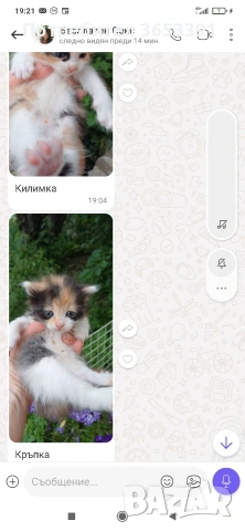 подарявам с благодарност който приеме подарък а, снимка 2 - Други - 54886334