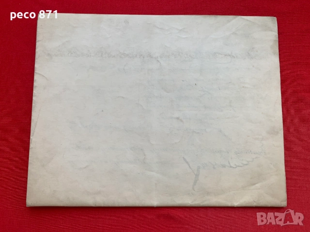Съюз на руските ветерани в България 50 г.Сан-Стефано 1928 г., снимка 9 - Колекции - 54808453
