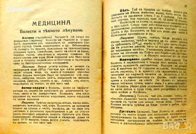 Православенъ календаръ 1934, снимка 5 - Антикварни и старинни предмети - 55379746
