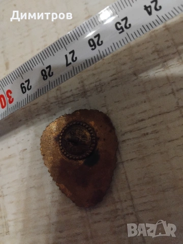 Румънски военен бронзов знак, снимка 2 - Антикварни и старинни предмети - 54272206