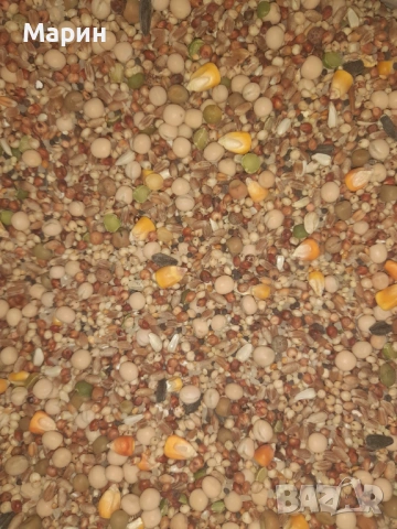 Храна за гълъби птици