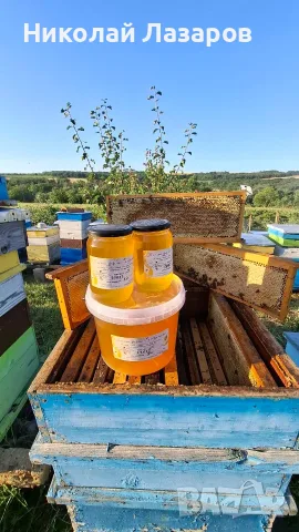 Пчелен мед слънчогле, снимка 4 - Пчелни продукти - 55600969