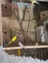 Вълнисти папагали , снимка 17