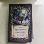 Animal Oracle , снимка 4