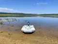 Лодка Zodiak 2.80, снимка 5
