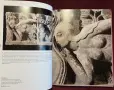 Romanesque Art. Visual Encyclopedia of Art, снимка 8