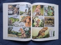Стар Френски Комикс Aлбум RAHAN / 1984 год., снимка 4