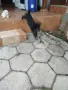 Малки кученца си търсят добър стопанин , снимка 6