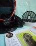 Кафемашина с гаранция 1 година Automat NESCAFÉ® Dolce Gusto Krups Mini Me.Gray, снимка 2
