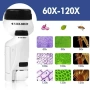Преносим микроскоп с LED светлина, 60x-120x увеличение и стойка за смартфон, снимка 5