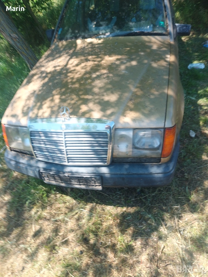 300 д цял за части, снимка 1