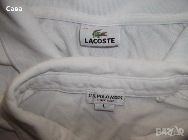 Тениски LACOSTE, U.S. POLO ASSN.  дамски,М-Л