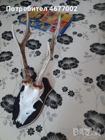 голям сръндак, снимка 4 - Антикварни и старинни предмети - 54317557