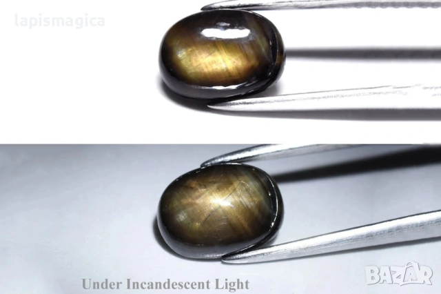 Черен 12-лъчев звезден сапфир 1.88ct нетретиран овален кабошон