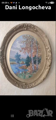 Ръчно изработени Гоблени , снимка 6 - Гоблени - 55686821