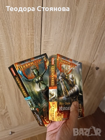 книги на Diablo и Hellgate, снимка 2 - Други - 55002925