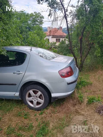 Kolata se prodava cqla za casti