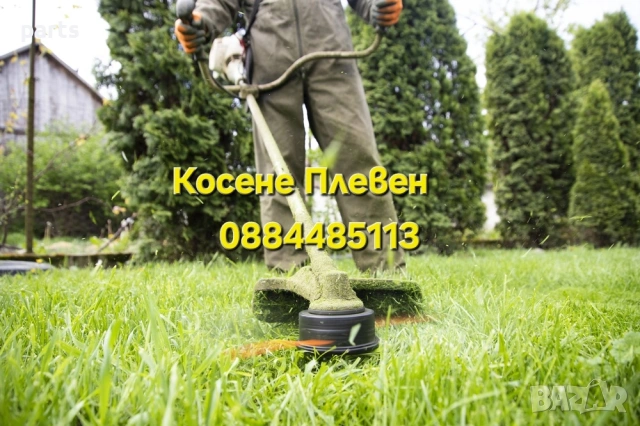 Косене Плевен 