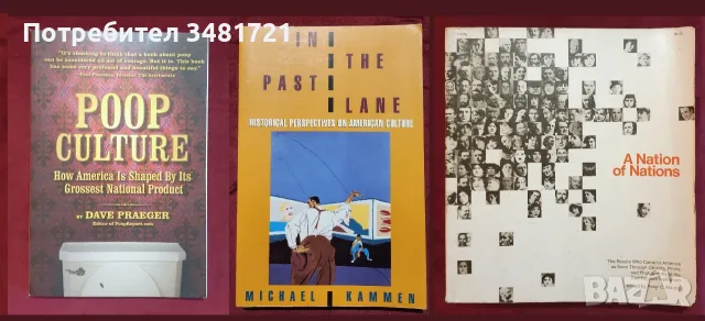 САЩ - политика, общество, история, тенденции, култура - 43 книги, снимка 8 - История, политика и общество - 55178188