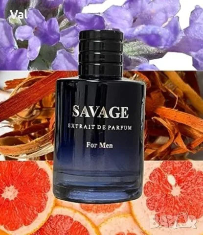 Savage for Men - Мъжки аромат за ежедневна употреба - 100ml, снимка 3 - Мъжки парфюми - 55507266