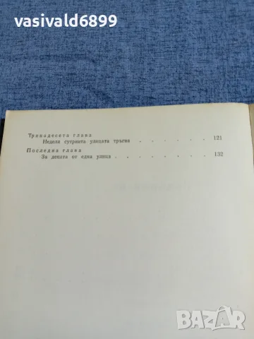 Анастас Павлов - Славното момче , снимка 6 - Българска литература - 55479663