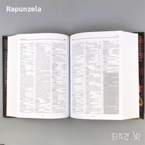Dictionary of Mythology, снимка 4 - Енциклопедии, справочници - 55562764